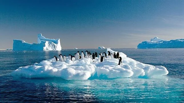 INACH lleva la ciencia antártica a Puerto Varas con exposición fotográfica