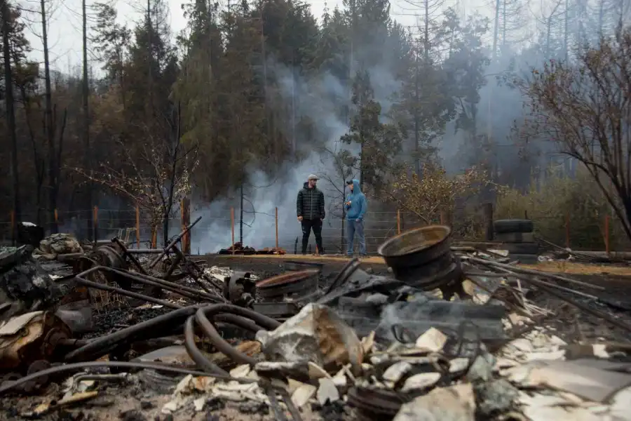 Drones y semillas exóticas sobre el bosque quemado: la polémica que divide a la Patagonia