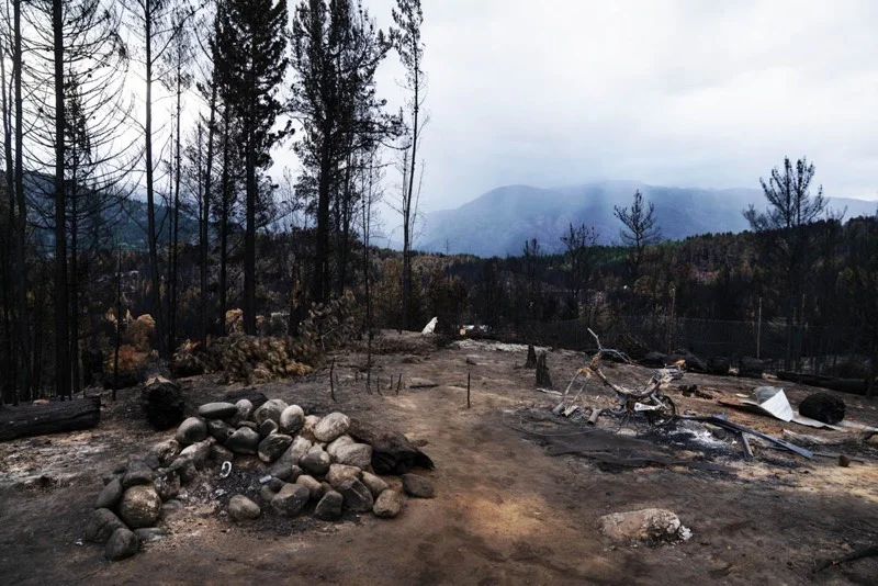 Comarca Andina en llamas: lo que el fuego revela sobre la fragilidad del bosque patagónico