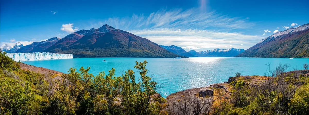 Lago Argentino desde las orillas con arbustos de calafate en primer plano y el Glaciar Perito Moreno al fondo — El Calafate, Santa Cruz