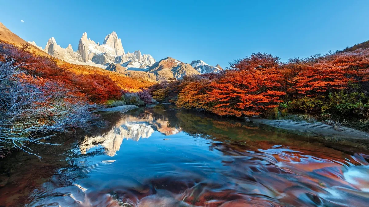 El Fitz Roy reflejado en un arroyo entre lengas rojizas de otoño — El Chaltén, marzo-abril