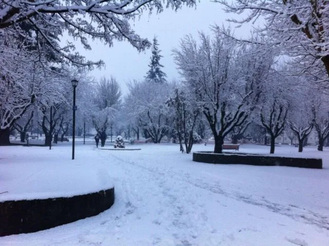 Plaza de Coyhaique en invierno con árboles nevados