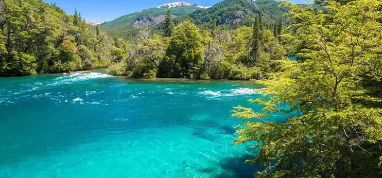 Río de aguas turquesas en el Parque Nacional Los Alerces, rodeado de bosque andino