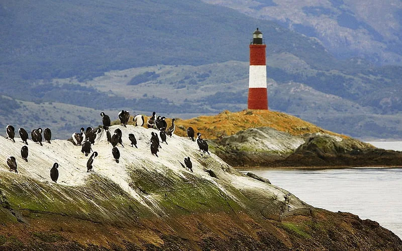 Cormoranes en el Canal Beagle con el Faro Les Eclaireurs al fondo — el Faro del Fin del Mundo
