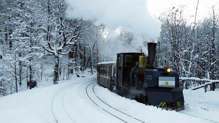 Tren del Fin del Mundo entre bosques nevados — locomotora de vapor en Tierra del Fuego
