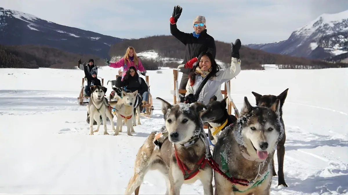 Trineo tirado por perros Husky en la nieve de Ushuaia — aventura de invierno en Tierra del Fuego