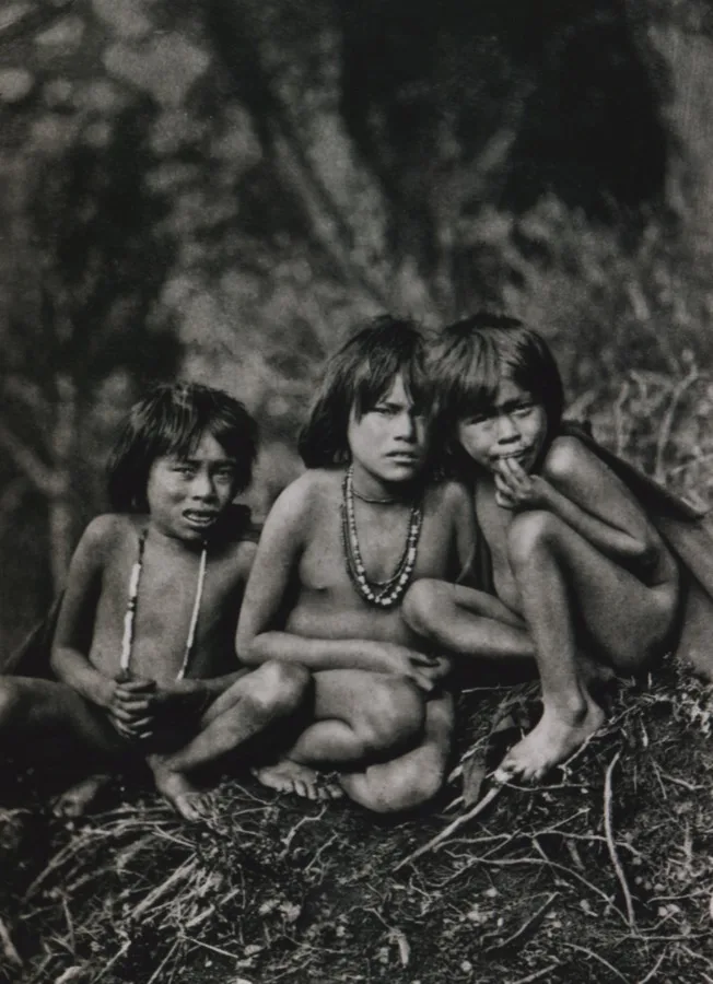 Tres niños yaganes — retrato etnográfico en los bosques de Tierra del Fuego, inicios del siglo XX