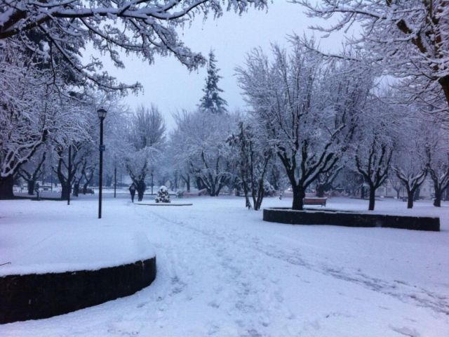 Plaza de Coyhaique en invierno con árboles nevados