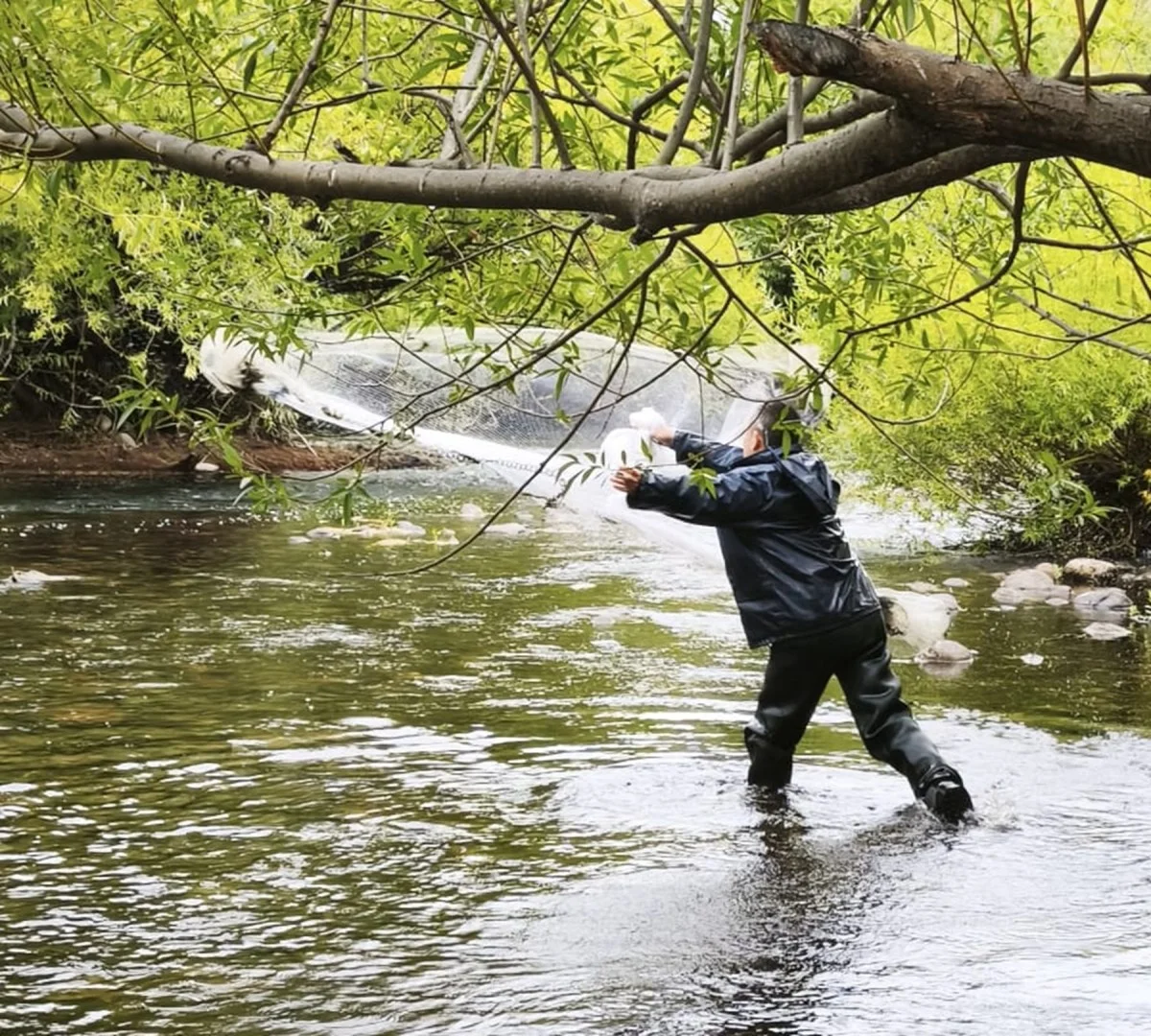 Monitorean ríos neuquinos del Chimehuin al Caleufú para protegerlos