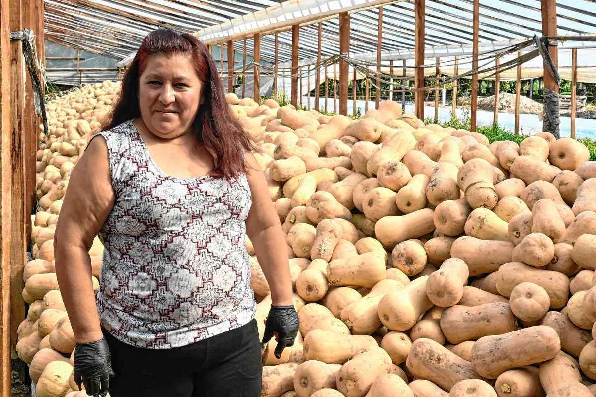 Una familia que apostó por la horticultura patagónica y ganó