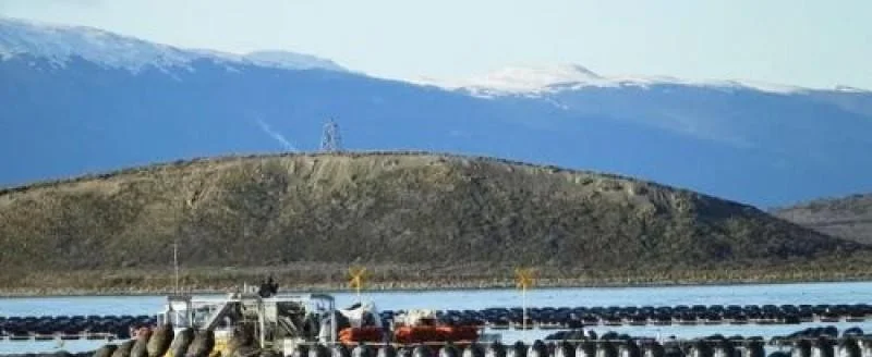 Tierra del Fuego prohíbe cultivo de salmónidos en el Canal Beagle
