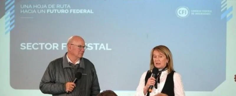Chubut apuesta al bosque como motor económico con el respaldo del CFI