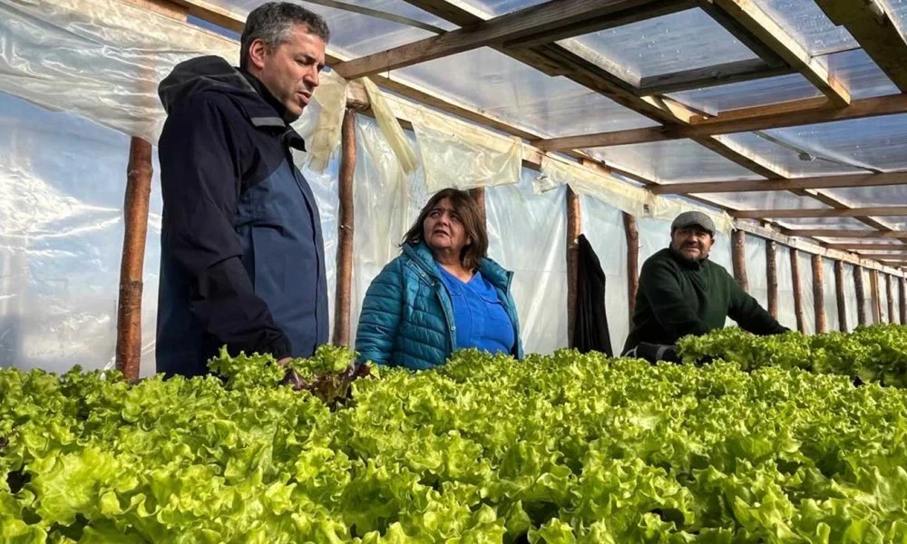 Energía solar en manos Mapuche: la huerta de Agua Fresca que no depende de la red