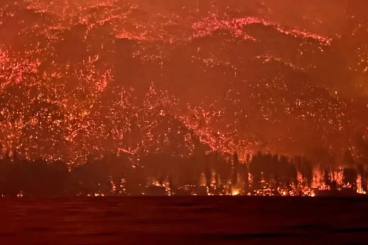 Drones sobre el incendio: así renace el suelo quemado de Chubut