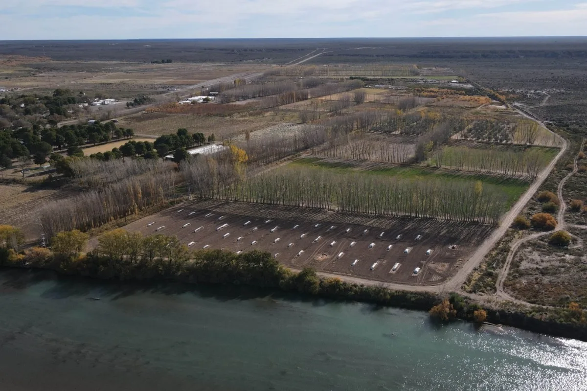 75 hectáreas regadas por el Colorado: el oasis productivo que nace en la Patagonia