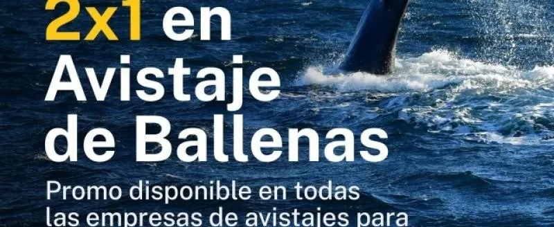 Ballenas en Valdés: temporada abre el 9 de junio con tarifas congeladas