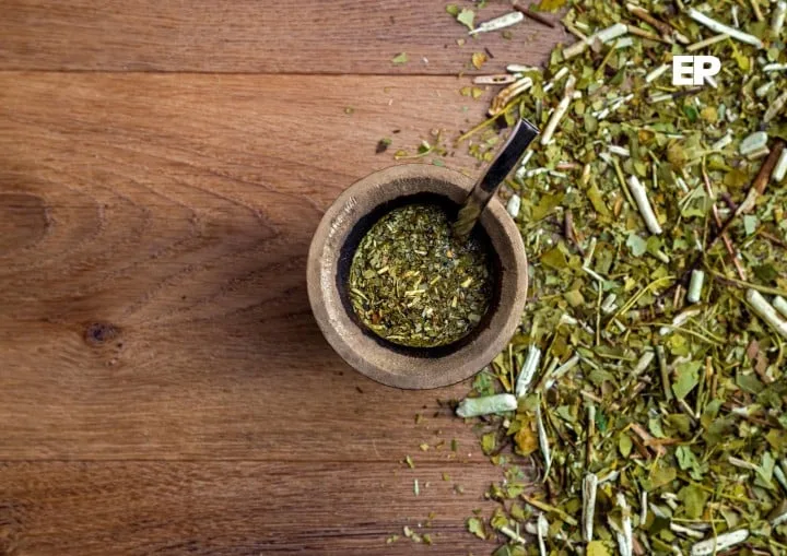 Punta Arenas y la yerba mate: cuando Magallanes se sienta en la mesa global