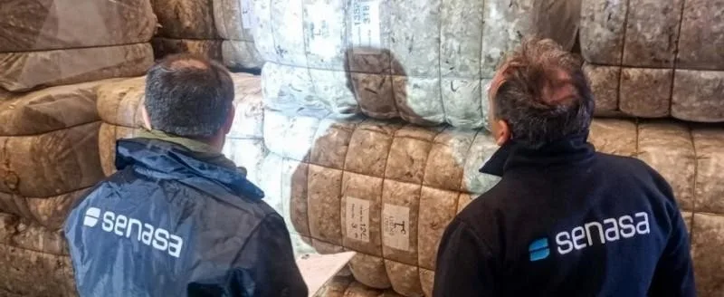 Chubut exporta lana directamente desde el campo: un primer hito ganadero