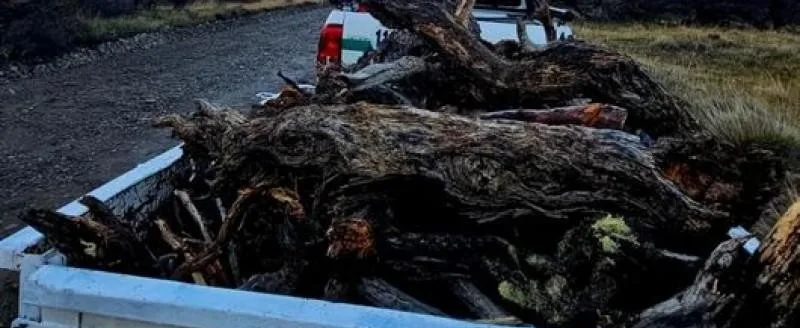 Quema controlada en Los Glaciares: manejo de combustible en zona crítica