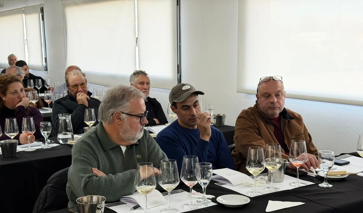 Cuatro provincias patagónicas unen criterios para definir el vino de la región
