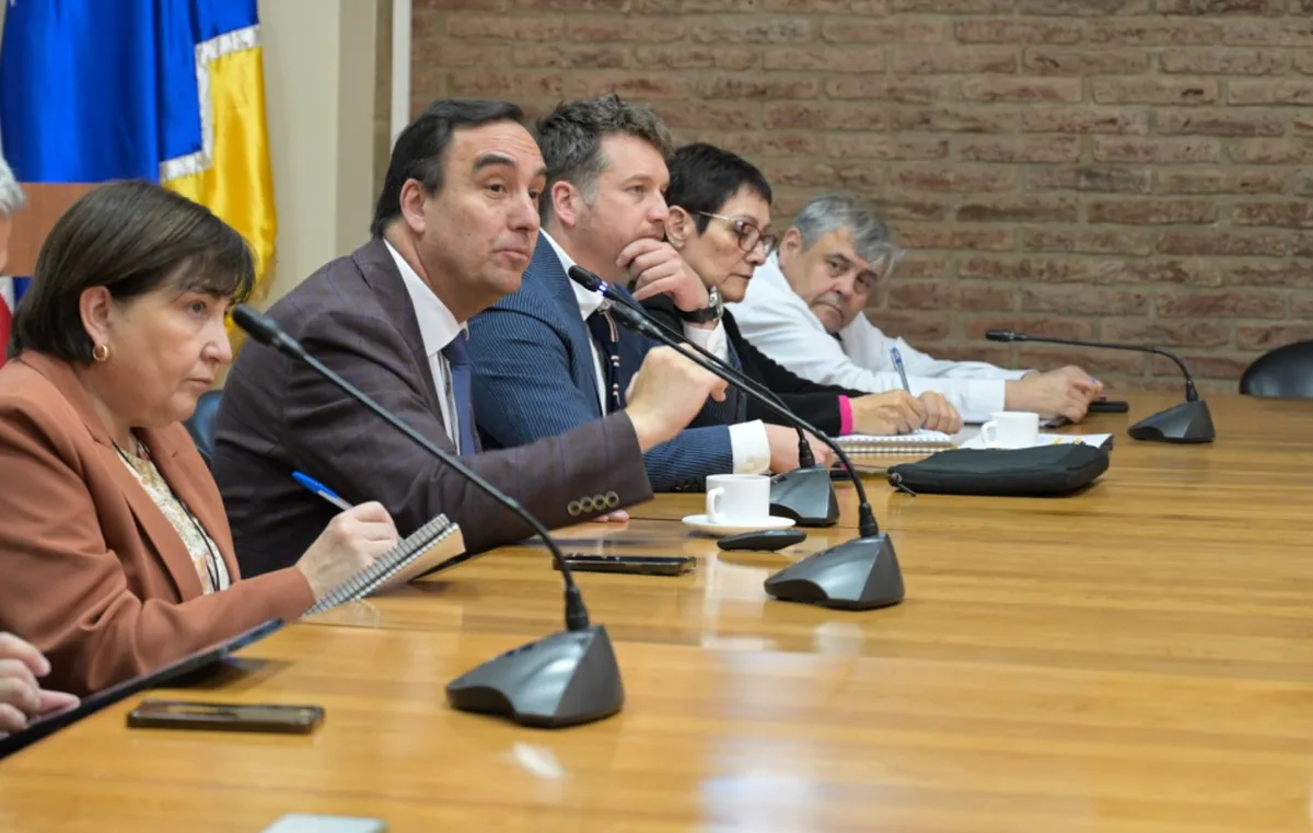 Magallanes inyecta $25 mil millones a zonas extremas en sesión extraordinaria