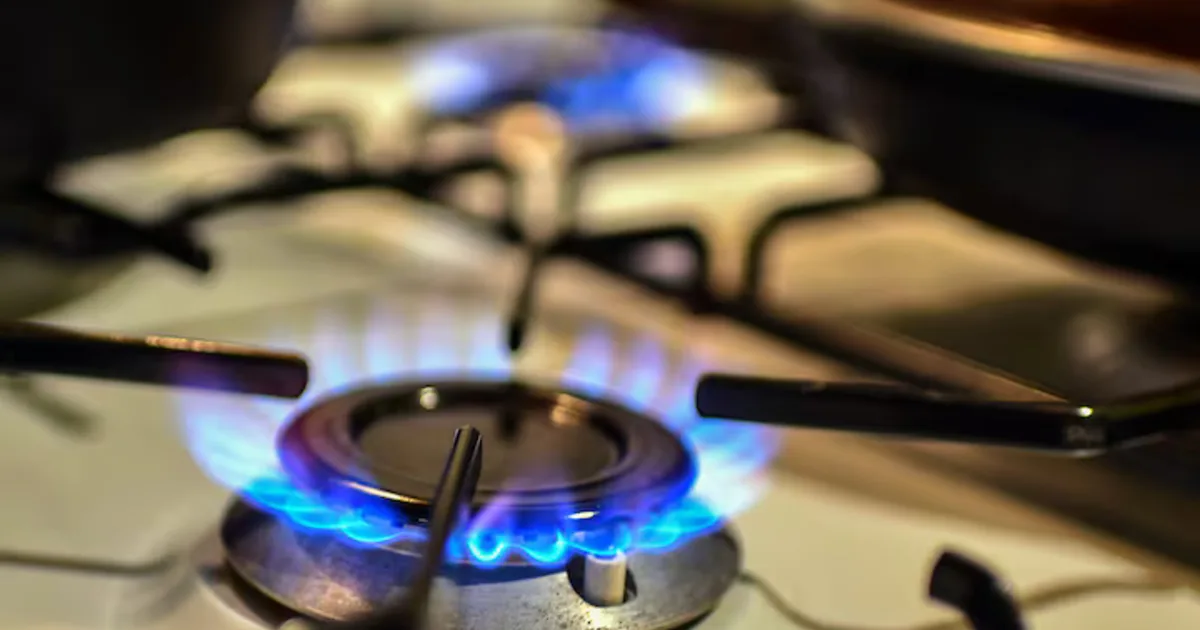 Zona Fría en riesgo: el Sur camina hacia la pobreza energética