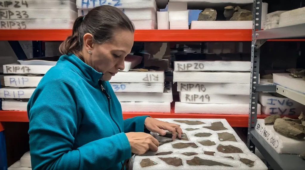 Paleobotánicos brasileños descifran en Punta Arenas el pasado verde de la Antártida