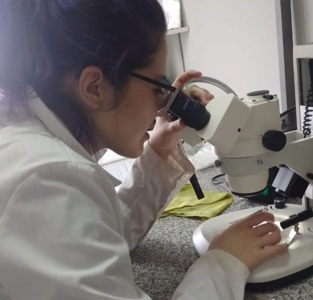 Lucía Jara Masías: la joven de Pomona que investiga los peces del río Negro