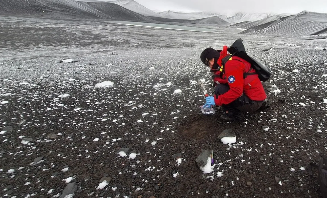 El cambio climático amenaza a los microorganismos clave de la Antártica