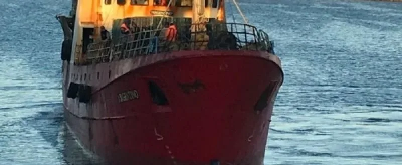 Santa Cruz regula la merluza: cuotas por barco para pescar con futuro