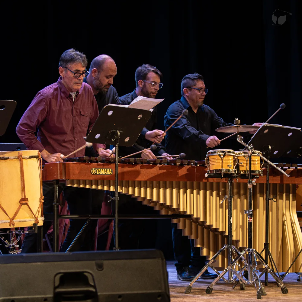 24° Festival de Percusión de Roca: el ritmo que convoca al mundo al Alto Valle