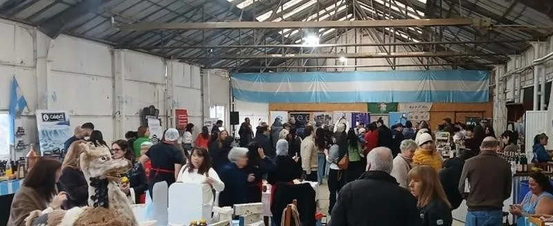 Guanaco en la mesa: el sur reivindica su carne más propia