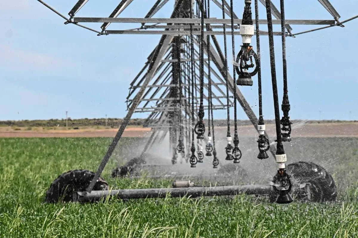 Riego eficiente en el Alto Valle: investigadores de California y Chile comparten claves