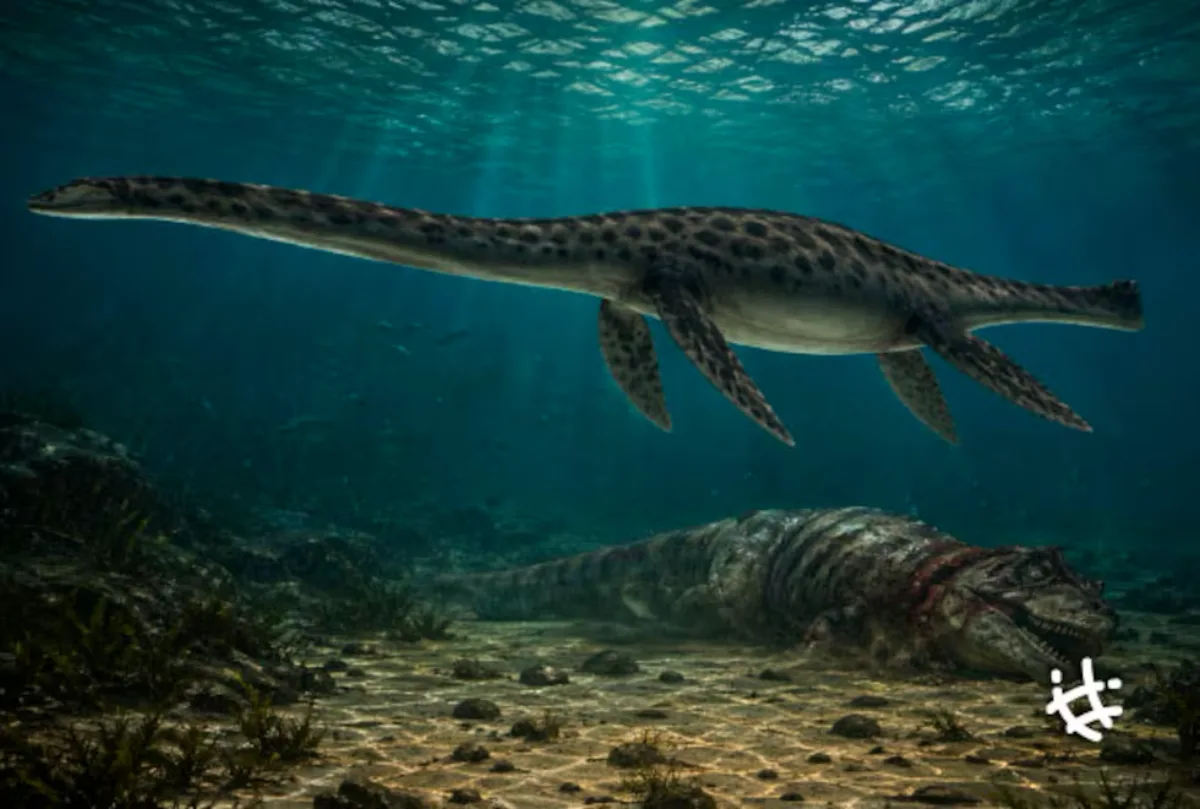 Un cráneo de 66 millones de años revela la historia de un reptil marino patagónico