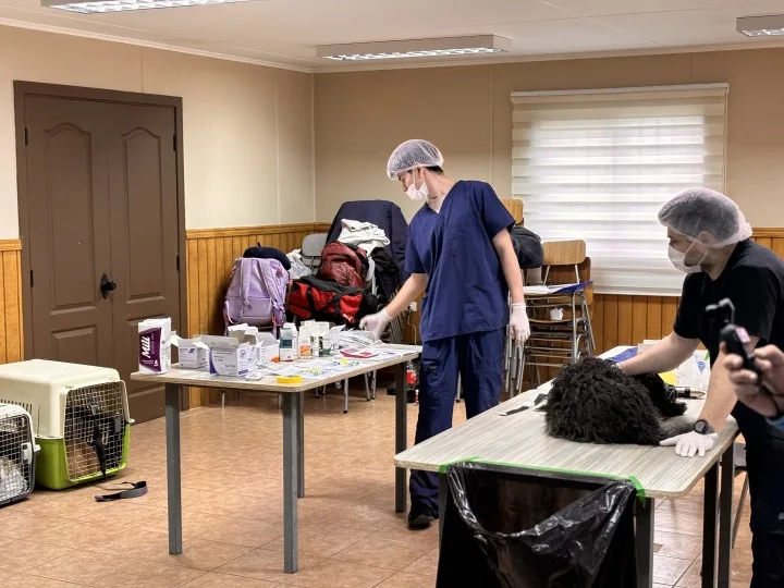 Contraloría observa $282 millones en municipios de Magallanes por mascotas