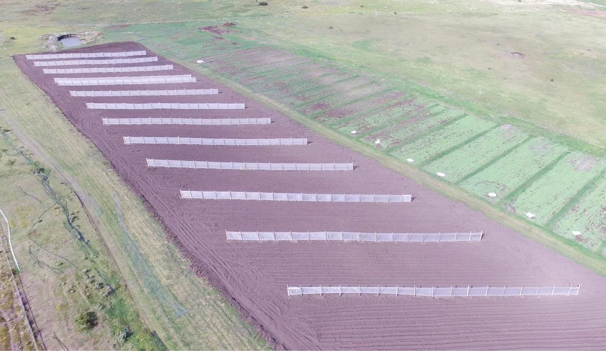 Magallanes invierte $212 millones en agricultura familiar protegida