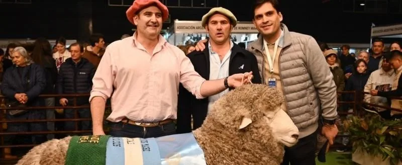 Un carnero de Santa Cruz se consagra campeón en Palermo