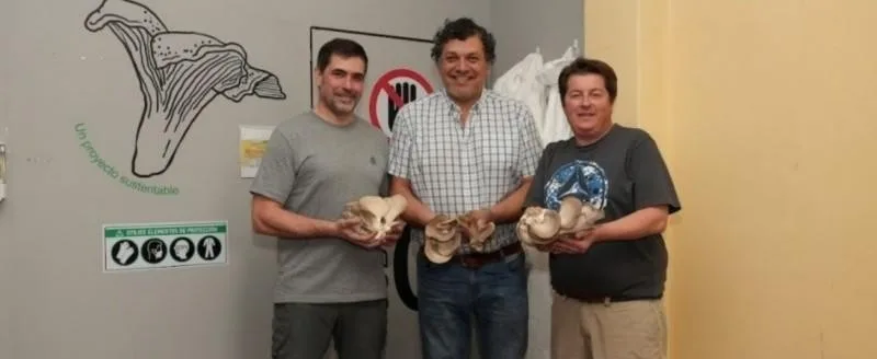 Girgolaticas en la estepa: dos patagónicos producen hongos de bosque en Santa Cruz