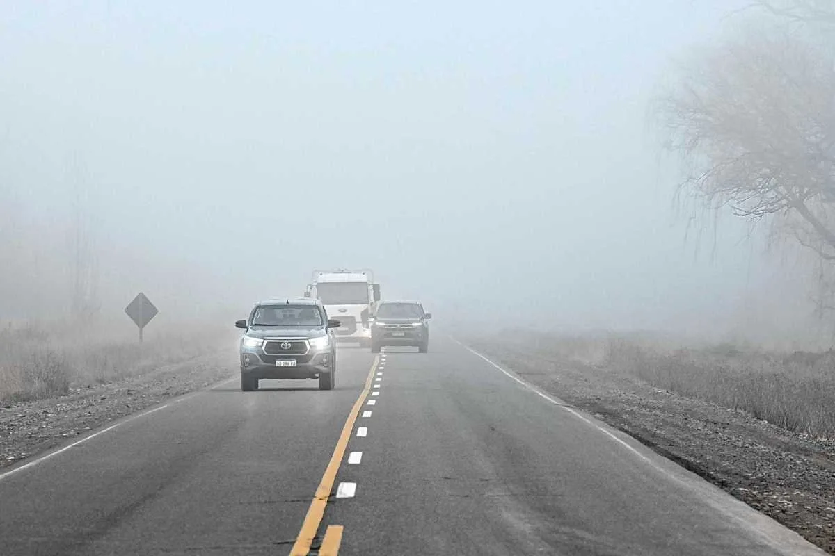 Nieve, niebla y rutas cortadas: el costo económico del invierno binacional