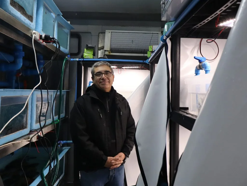 La Antártida enfrenta una amenaza invisible: la contaminación lumínica