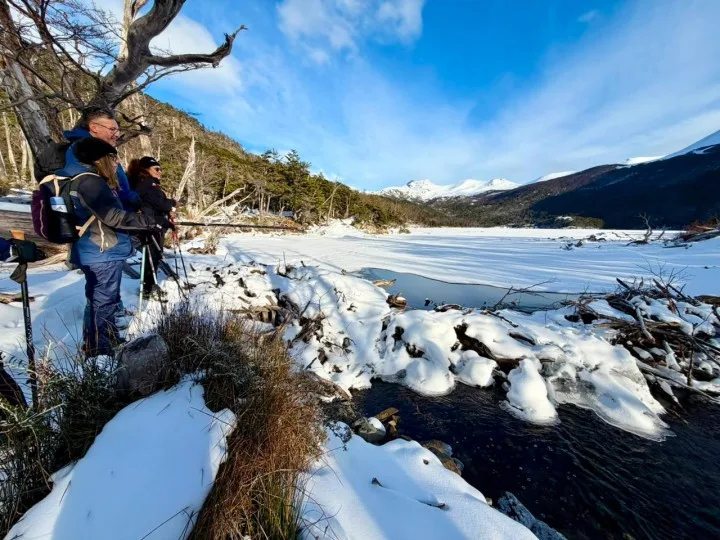 Castores y fuego: Puerto Williams vigila la cuenca que le da agua