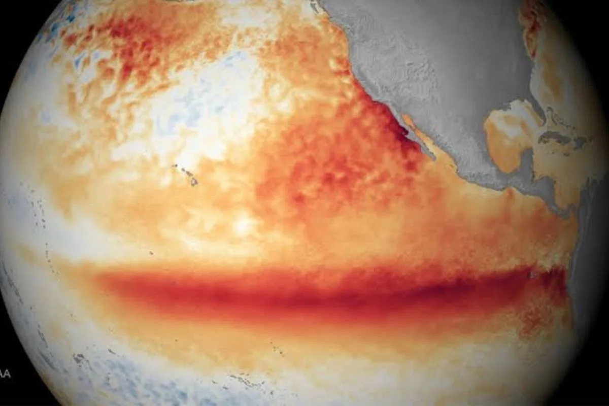 Cambio climático y hantavirus: la expansión que preocupa a la Patagonia