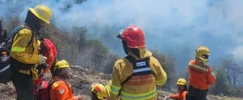 Santa Cruz se prepara para la temporada crítica de incendios con foco en la prevención