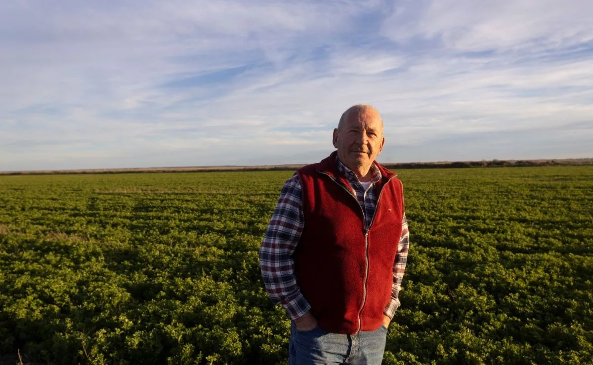 De comerciante a productor: 30 años de un campo renacido