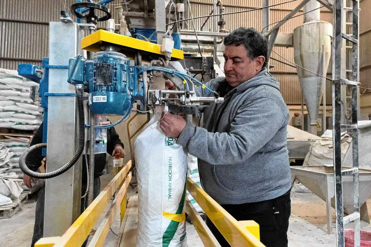 De productor manual a 3.500 toneladas: el salto del insumo ganadero