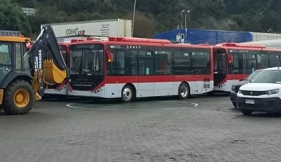 Nueva flota de buses moderniza el transporte público de Natales