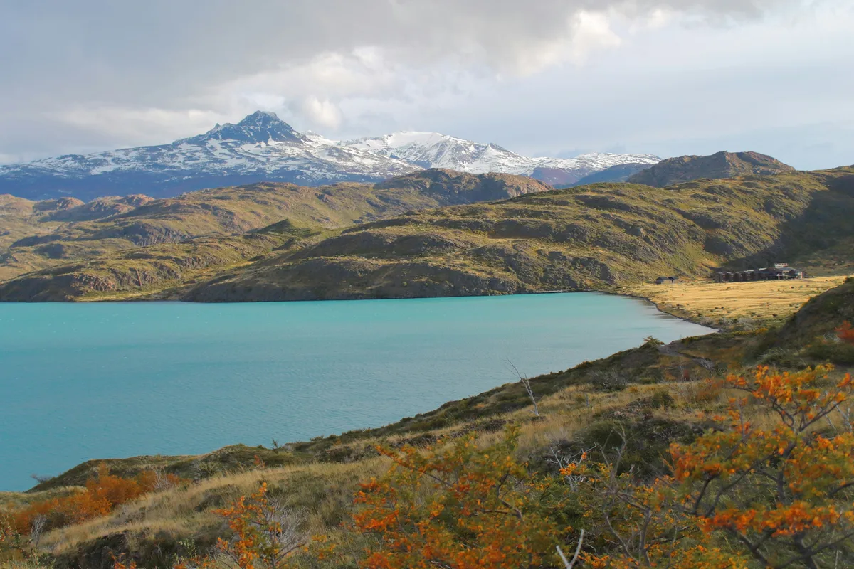 Inversiones de Elsztain en Malvinas: la puja por el negocio bajo bloqueo
