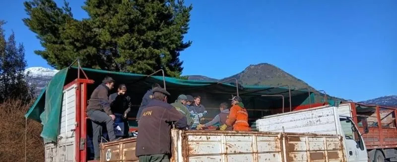Incendio en Los Alerces: la ayuda llega al bolsillo de los productores