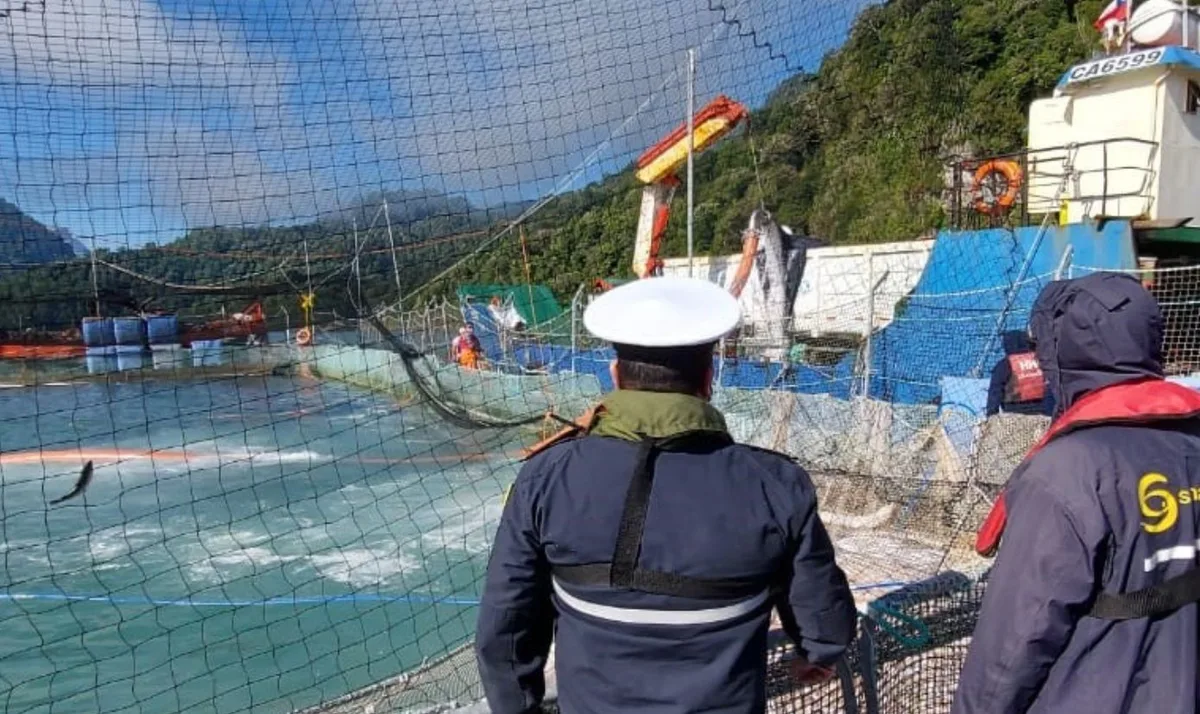 Alerta por virus ISA en centro de cultivo de Salmones Camanchaca en Aysén