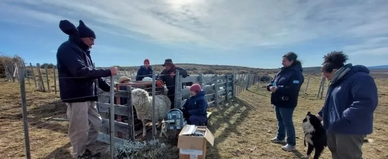 Trelew reúne a referentes de la extensión rural de Argentina y el MERCOSUR